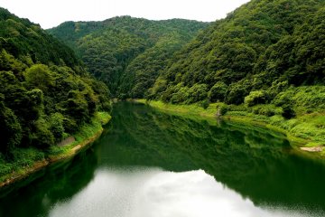 <p>This looks so untouched, it could easily be New Zealand - but it's Japan</p>