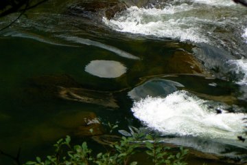 <p>It looks like this water could give a fairly exciting ride</p>