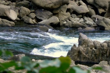 <p>White water</p>