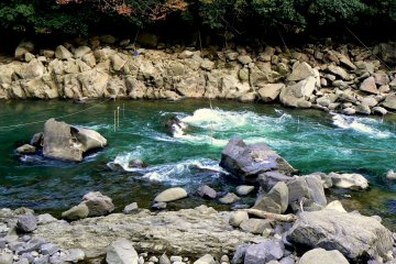 <p>Some kind of course was marked out by ropes hanging over the river</p>