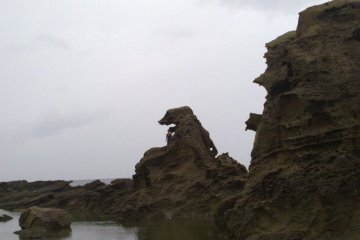 <p>A different perspective for size comparison</p>