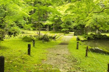 Lush green as far as the eye can see.