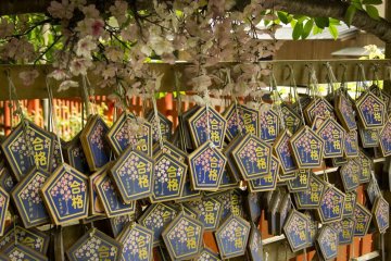 Votive tablets from people hoping for luck and happiness.