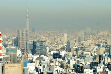 From another angle of the viewing area you can see Tokyo Sky Tree in the distance.&nbsp;