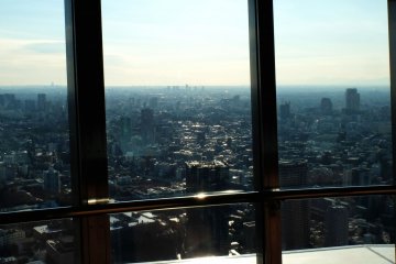 The Excitement of Tokyo Tower