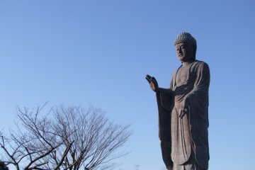 <p>A breath-taking sight</p>