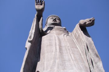 <p>Magnificent in size</p>