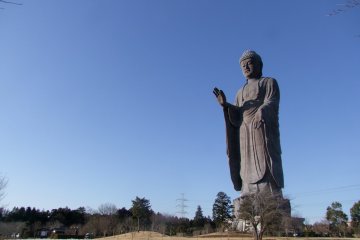 <p>Presiding over a Japanese garden</p>