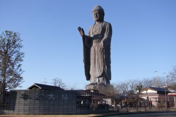 <p>The centerpiece of the shine</p>