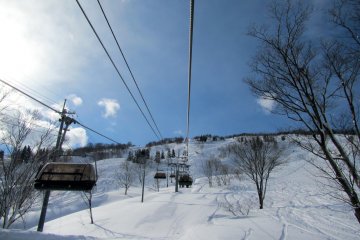 <p>Lines! And powder everywhere, from the lift</p>