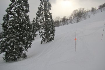 <p>All this powder</p>
