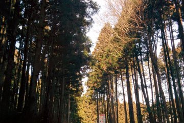 <p>Memasukin kaki bukit dari Gunung Haruna</p>