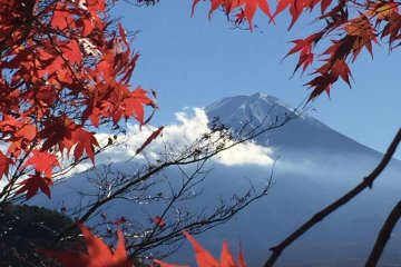 A Date with Mr. Fuji