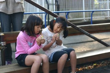 <p>You can just hear the children saying "how cute!" as they hold the chicks in their hands.</p>