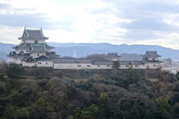 <p>The views of Wakayama Castle from the cafeteria's windows are stunning</p>