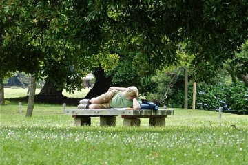 This is a very relaxing garden!