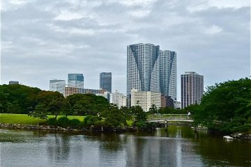 The garden is surrounded by tall office buildings on every side, but is still beautiful.