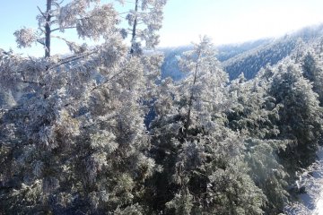 <p>The mountains were covered in a light blanket of snow</p>