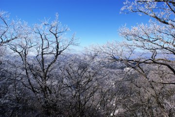 <p>The Gomadan area is one of the only places to see snow in Wakayama in winter</p>