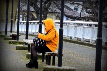 <p>A girl sitting on a bench of Sakura Bridge</p>