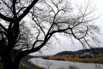 <p>In winter, the whole landscape looks sad</p>