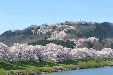 <p>From this hotel, the beautiful '1000 Cherry Trees at a Glance' along Shiroishi River are just a stone's throw away</p>