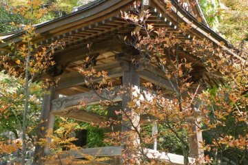 <p>There is a huge bell in there. In spring this would be beautiful!</p>
