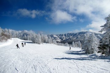 <p>Riding down from the top on open nearly empty trails</p>