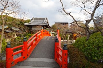 <p>Let's cross the ''Bridge of Wishes''</p>