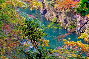 <p>Following the river upstream where you will see some of autumn's colors contrasting against the Tama River</p>