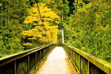 <p>Near the Northern end of Kazuma&nbsp;Gorge, close to Okutama&nbsp;Station is the impressive&nbsp;Moueki Bridge&nbsp;</p>