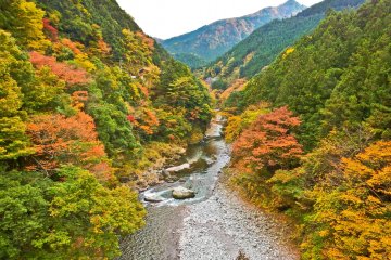 <p>Glancing downstream at the river from the top of Moueki Bridge</p>