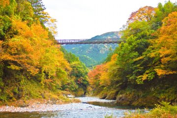 <p>Looking back at Moueki Bridge from the&nbsp;Hikawa Camping Ground</p>