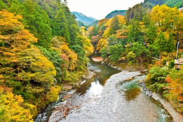 <p>Glancing in the opposite direction of the river from the top of&nbsp;Moueki Bridge</p>