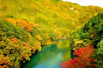 <p>As you walk further along the river you will see the first signs of autumn's red foliage&nbsp;</p>
