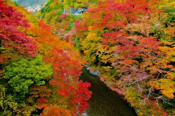 <p>Throughout the year this gorge is an impressive sight, but even more so during the autumn season where the rich and vibrant colors bring everything to life!</p>
