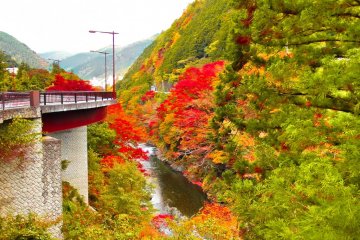 <p>Nearing the end! This long and winding bridge will eventually lead you into Okutama Town</p>