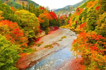<p>At certain points along the Gorge, the river&nbsp;widens out into a vast area where it is possible to see the exposed riverbank</p>