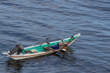 Fisherman catching sea urchin