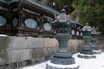 <p>Gorgeous color contrast</p>