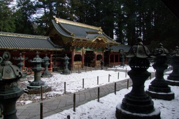 <p>Winter wonderland</p>