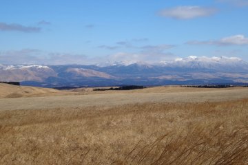 <p>Aso's&nbsp;fields are golden until the spring planting</p>