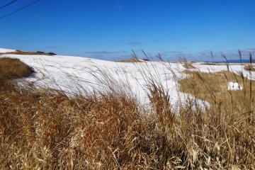 <p>You can often find snow lying up along the Milk Road, as the temperature there is significantly lower than down in the valley</p>