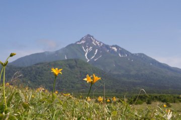 Rishiri Island in Spring