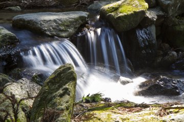 <p>A stream flows across the road from the campground</p>