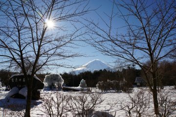 <p>It's a magical winter wonderland at Lake Saiko's Ice Tree Festival!</p>