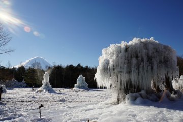 Lake Saiko Ice Tree Festival 2025