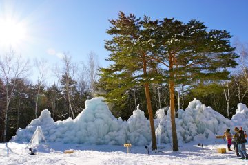 <p>Beautiful winter wonderland backdrop</p>