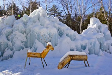 <p>Reindeer games at the Ice Tree Festival</p>