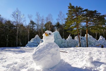 <p>Build your own Frosty the Snowman</p>